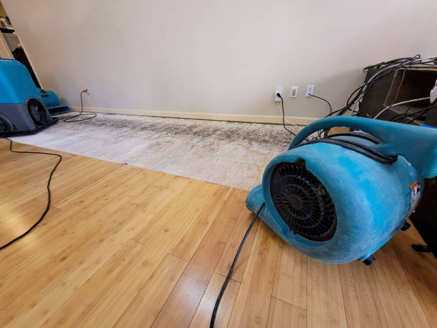 Professional Water Damage Repair technician working in Eldridge, AL